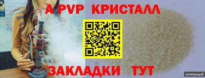 ALPHA PVP Гай