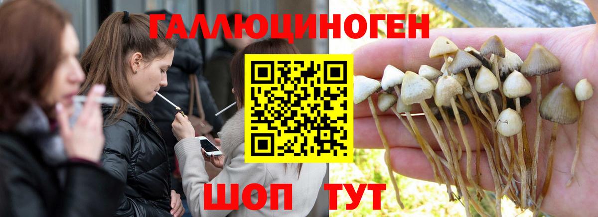Псилоцибиновые грибы Psilocybine cubensis  Вход с VPN  Касимов 
