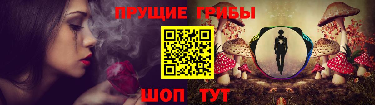 Галлюциногенные грибы GOLDEN TEACHER Касимов